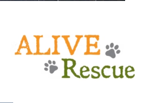 Alive Rescue
